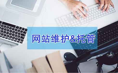 廣州黑米科技 專業信息咨詢服務賦能企業數字化轉型